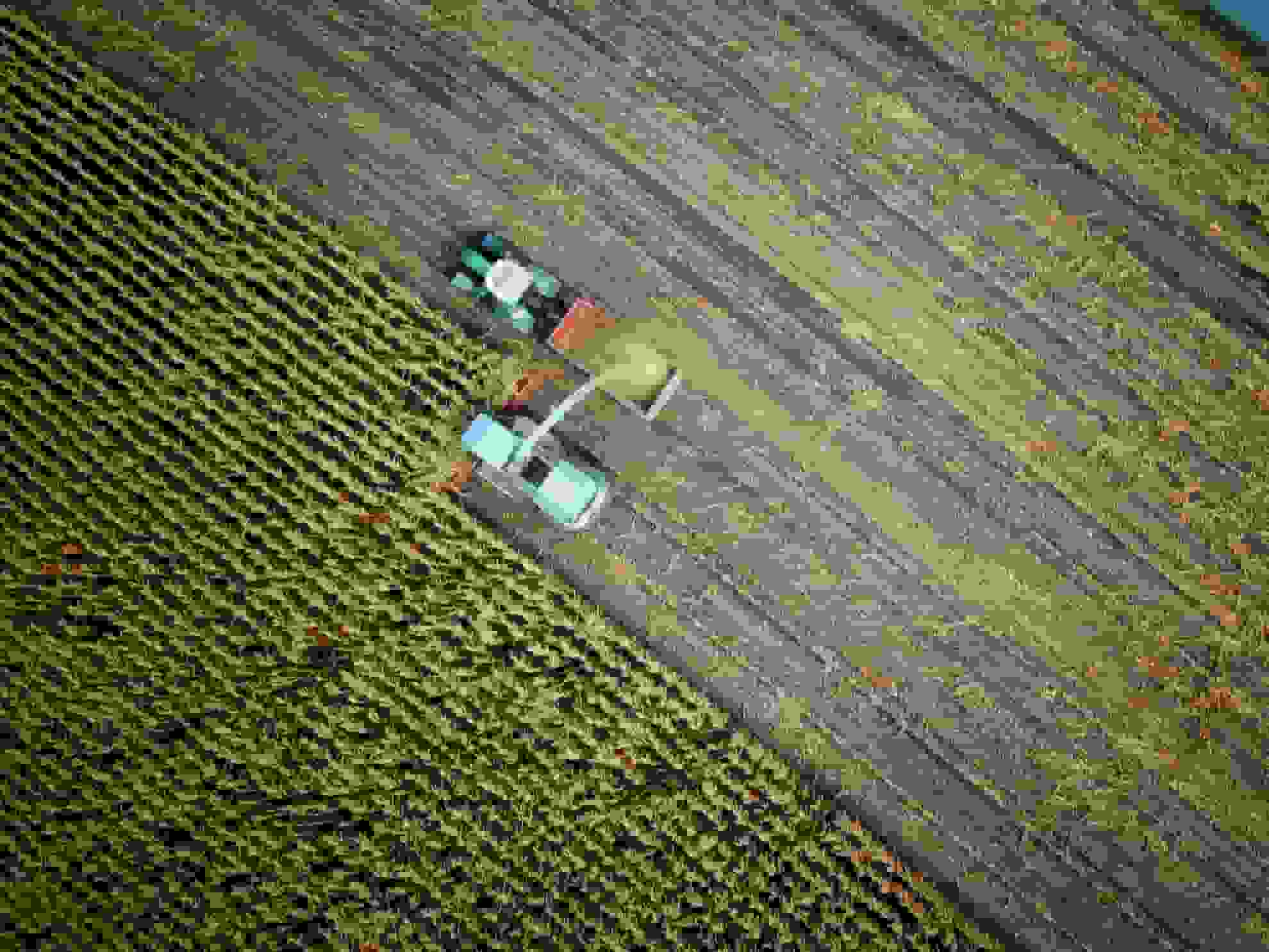 agriculture-food-production